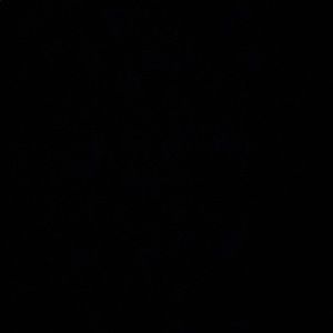 Meet your Posher, Tj